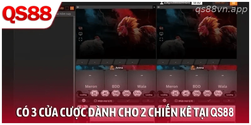 Có 3 cửa cược dành cho 2 chiến kê tại QS88