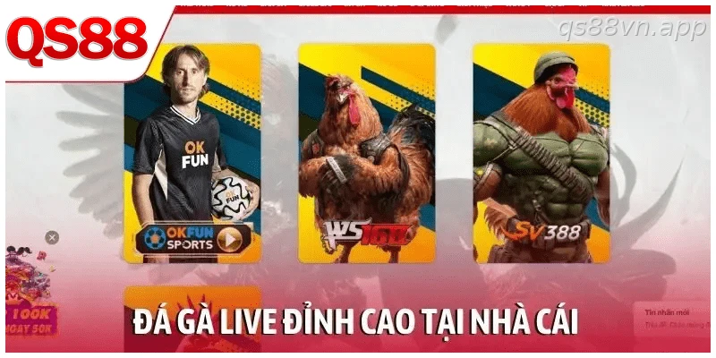 Đá gà live đỉnh cao tại nhà cái