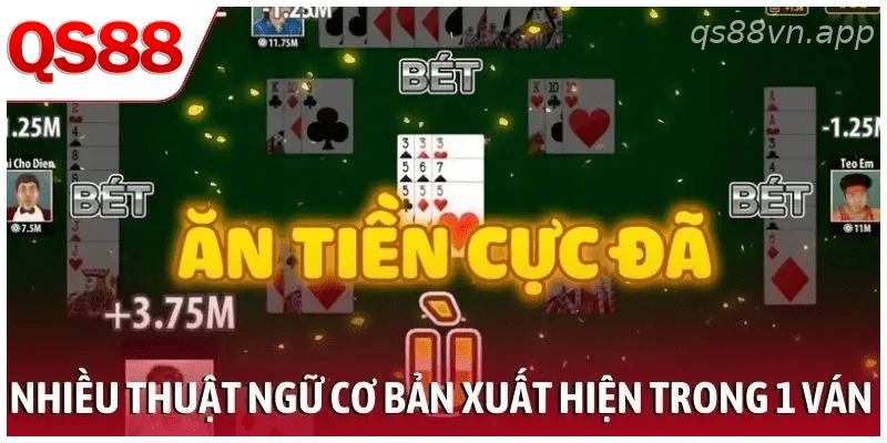 Nhiều thuật ngữ cơ bản xuất hiện trong 1 ván bài Phỏm