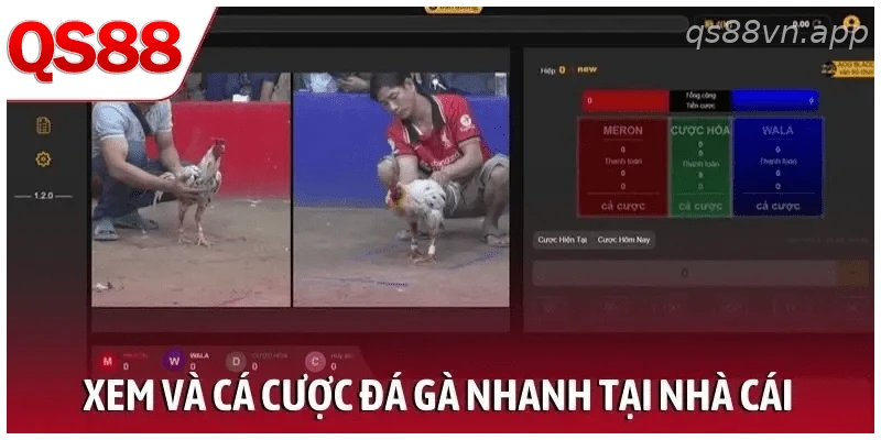 Xem và cá cược đá gà nhanh tại nhà cái trực tuyến